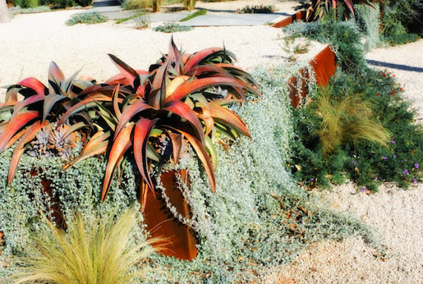 Terraced xeriscaping in a modern yard