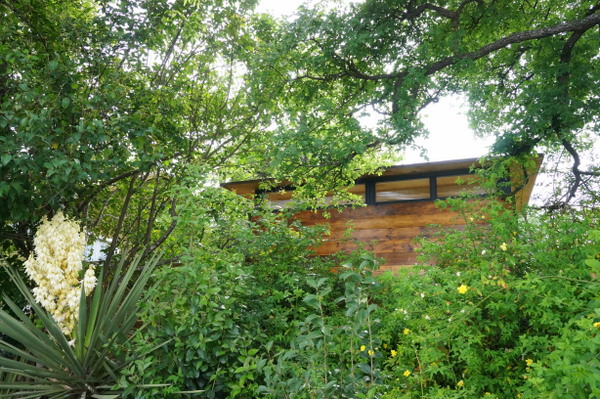 Through the greenery we see the back of the tiny house