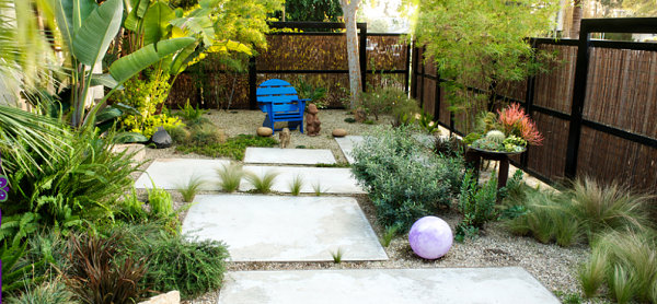 Xeriscaping in a lush backyard