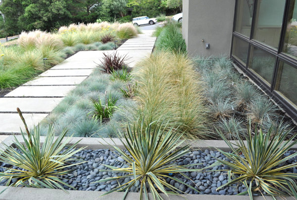 Xeriscaping with stepping stones