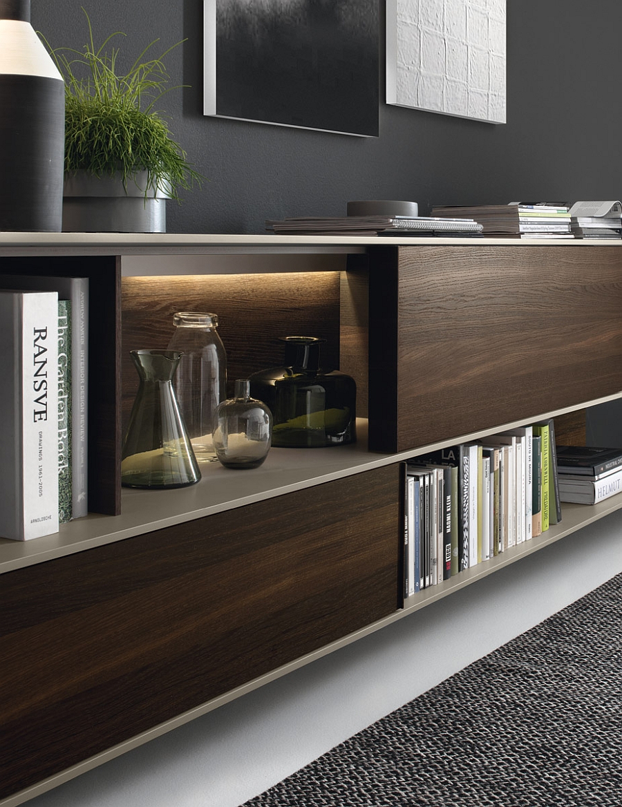 A combination of open shelves and closed cabinets for the wall unit