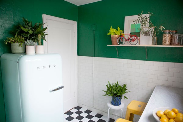 Ample plants in a studio kitchen