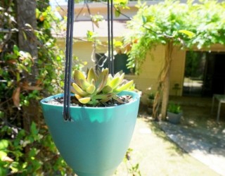 Make Your Own Modern DIY Hanging Planter