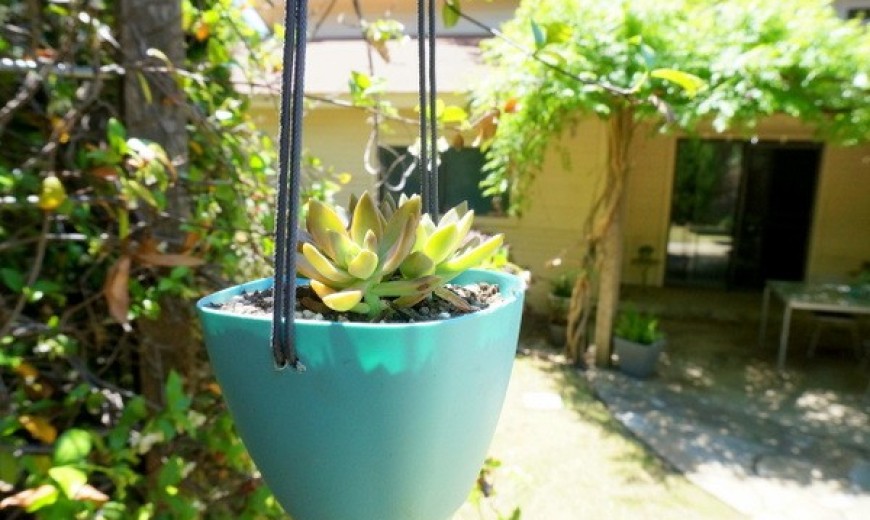 Make Your Own Modern DIY Hanging Planter