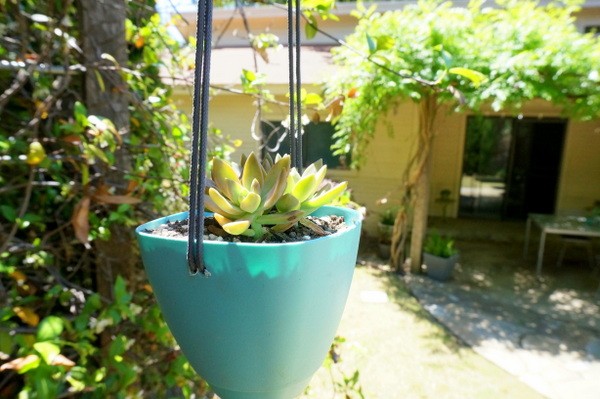 Aqua DIY hanging planter
