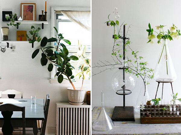 Artful displays of indoor plants