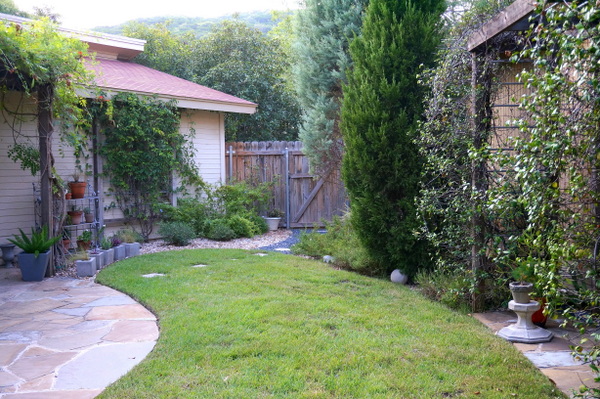 Backyard layout with trees, vines and gravel