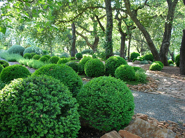 Boxwood trim in a soothing garden