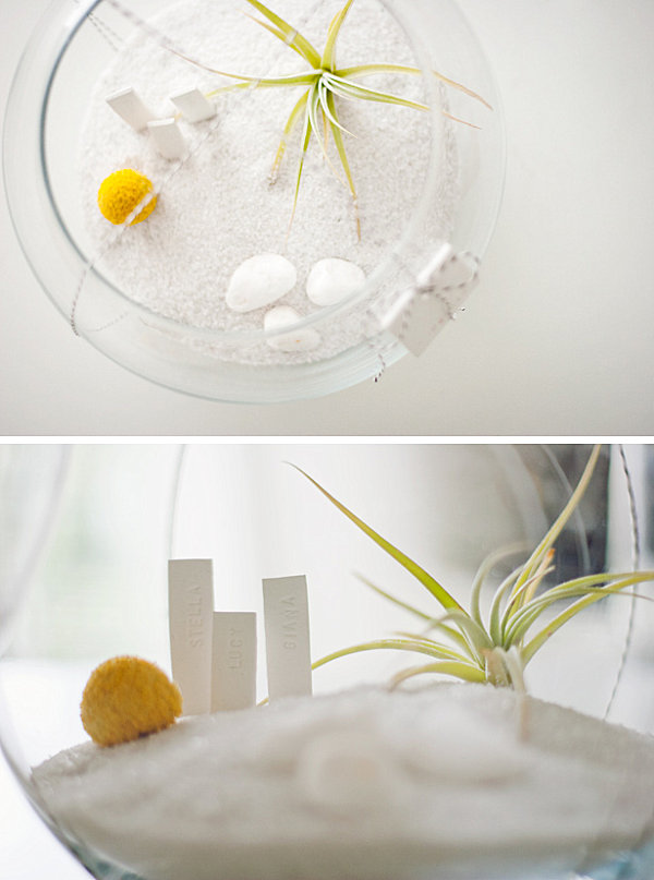 DIY air plant terrarium gift idea