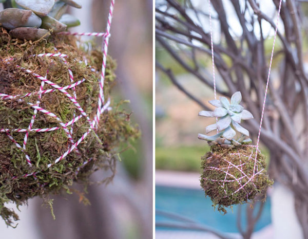 DIY hanging succulent planter