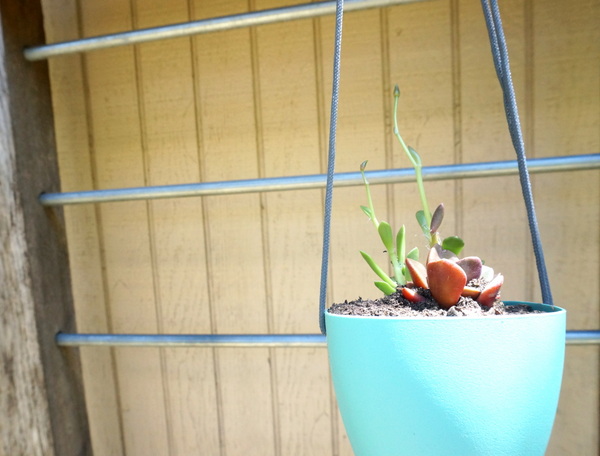 DIY planter with succulent