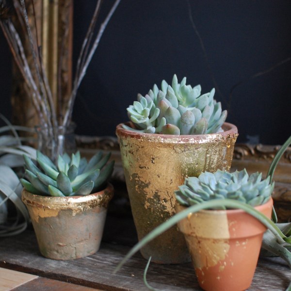 Gilded terra cotta pots