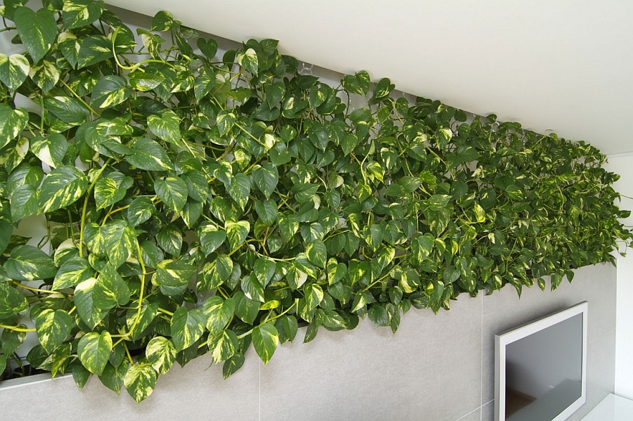 Gorgeous living wall idea for the modern home