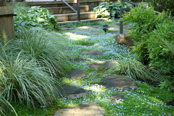 Ground cover and stones