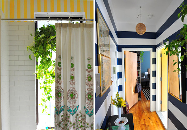 Hanging greenery in a Harlem apartment