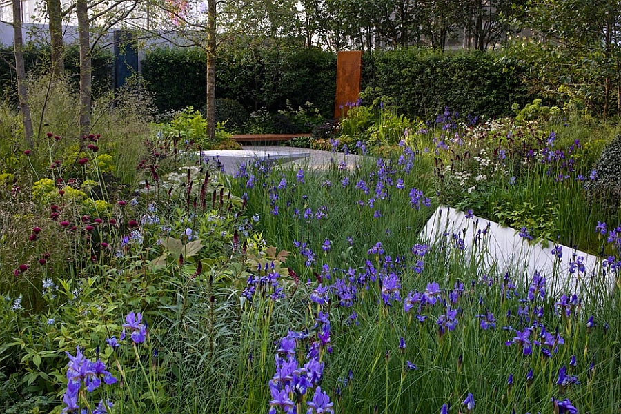 Hugo Bugg RBC Waterscape Garden at the RHS Chelsea Flower Show 2014