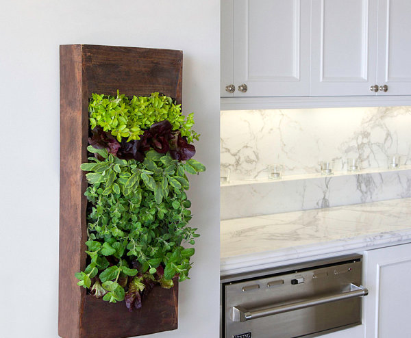 Indoor vertical garden