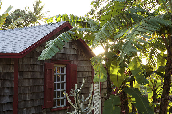 Inviting tropical exterior