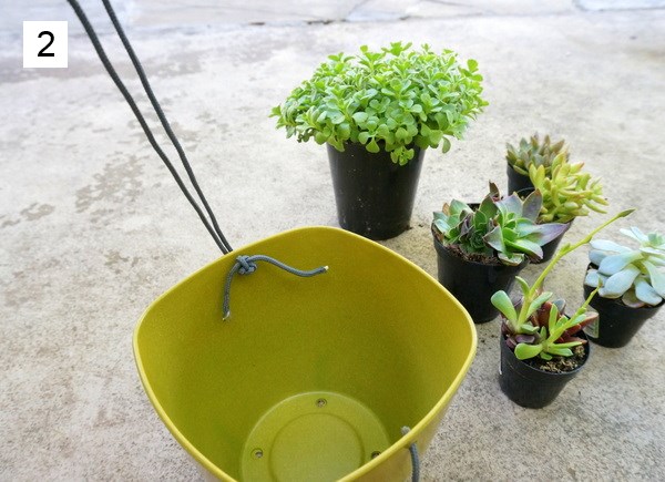 Knot your string on the inside of the planter