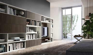 Contemporary Living Room Wall Units And Libraries, Ideas