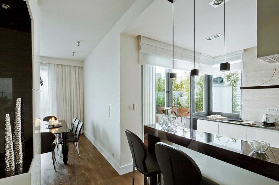 Modern kitchen and serving area of the posh Warsaw apartment