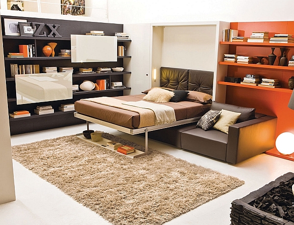 Murphy bed with Sofa Ideas
