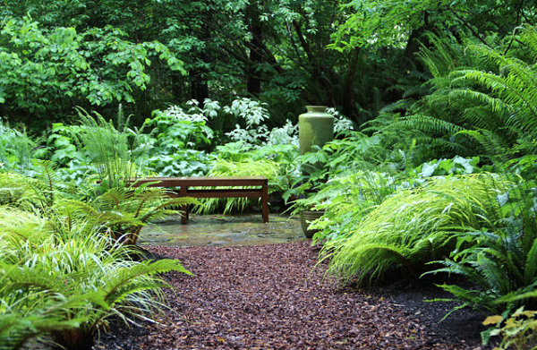 Peaceful shade garden