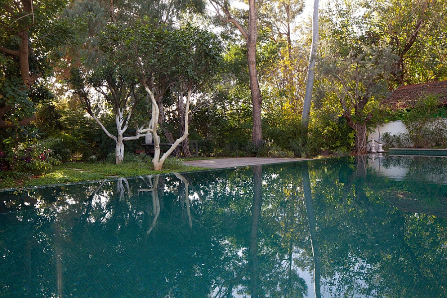 Pool that was built in the backyard