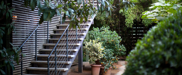 Potted plants are a standout feature at Austin's Hotel San Jose