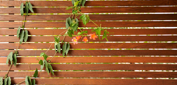 Slatted fencing adds serenity and shade