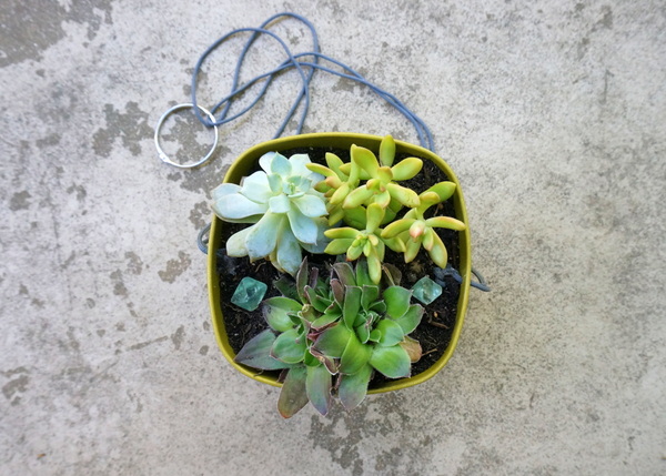 Succulents fill this DIY planter