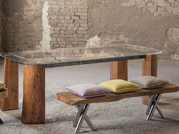 Tree trunk bench and table with a glass top