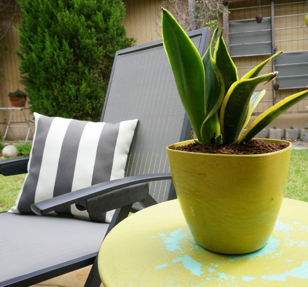 Olive green outdoor lounge table with planter