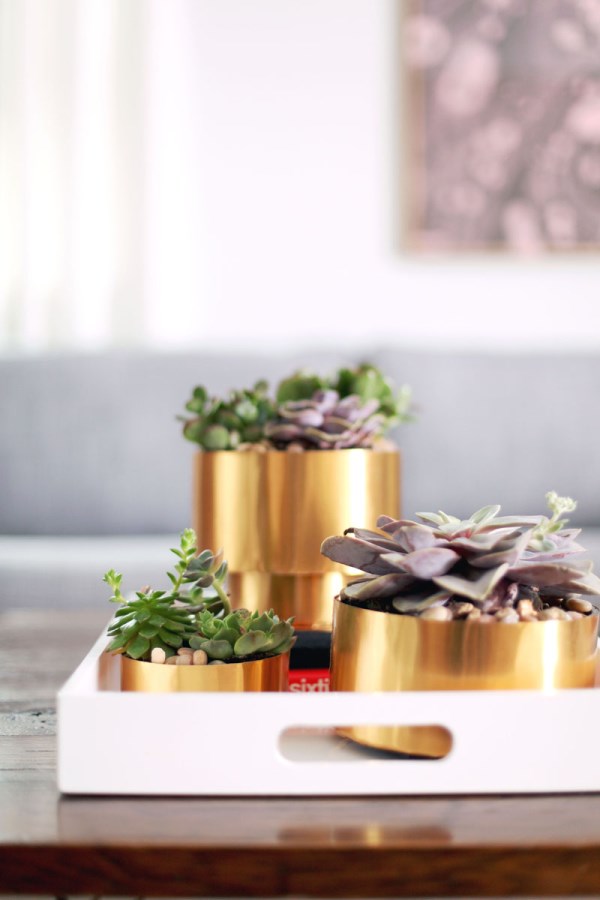 Brass succulent planters