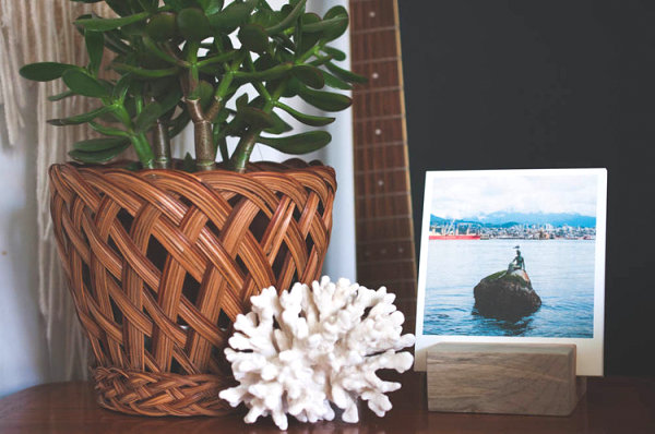 Coral meets a woven planter