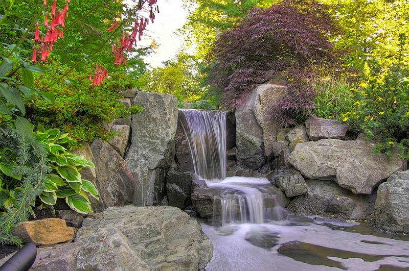 Create a tropical paradise in your backyard to complement the pool deck design