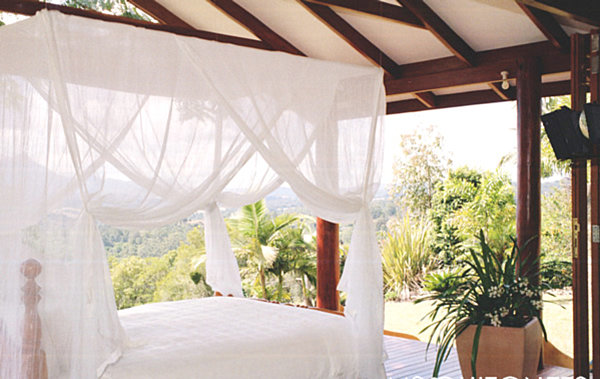 Mosquito net over a tropical bed