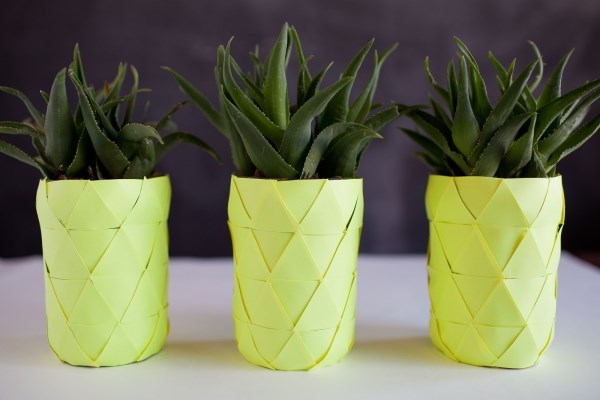 Pineapple planter idea