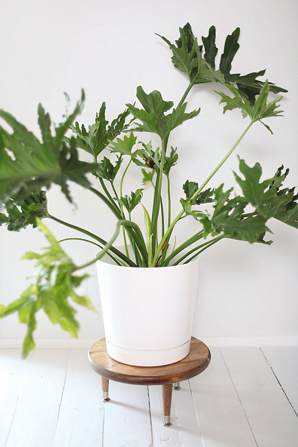 Plant stand with Midcentury flair