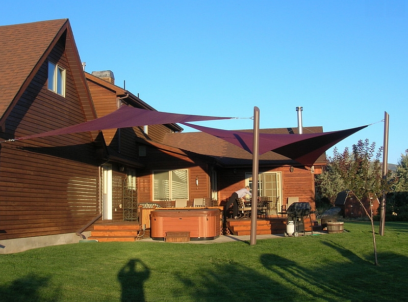 Add some eggplant magic to your summer yard with gorgeous canopies