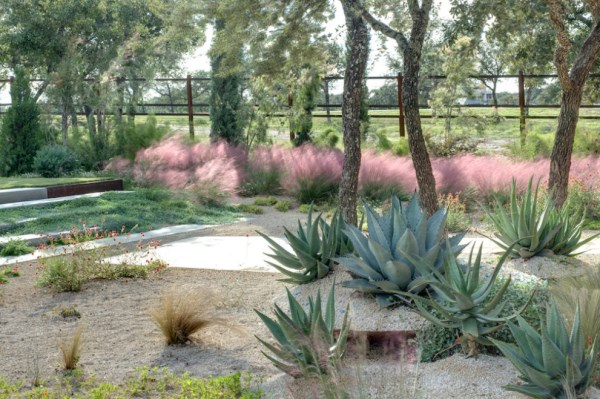 Blue agave and pink muhly