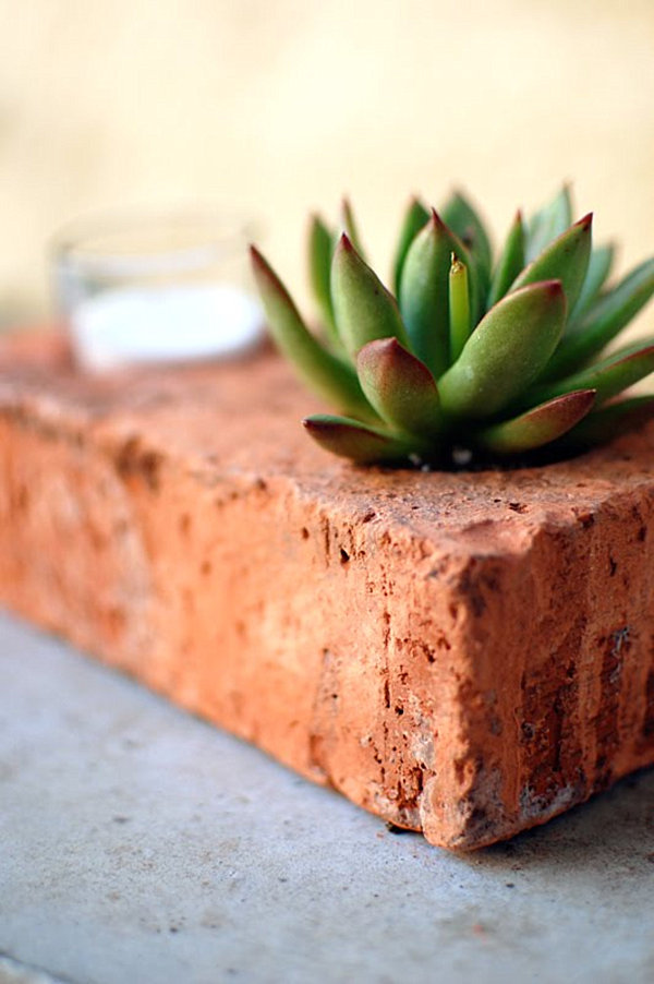 Brick succulent planter