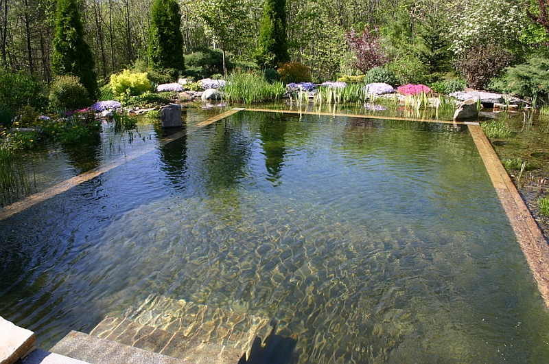 Canopy that surrounds the pool truly defines its natural and relaxing appeal