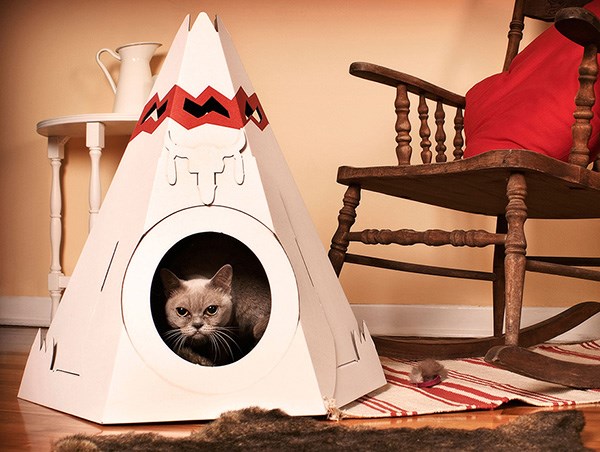 Cat teepee