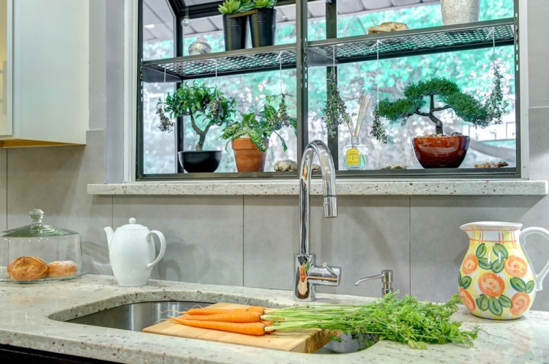 Collection of plants in a modern greenhouse window