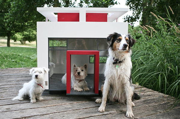 Cubix dog house