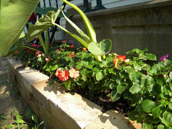 DIY brick paver planter