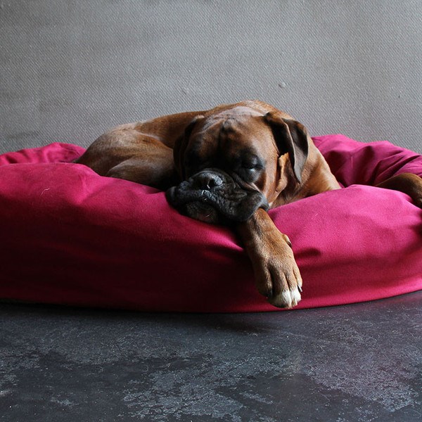 Designer dog bed