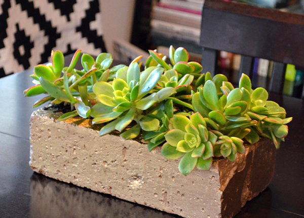 Gold succulent planter