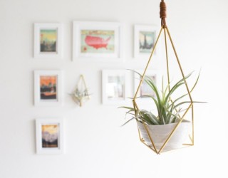 How To Display Air Plants In Hanging Containers